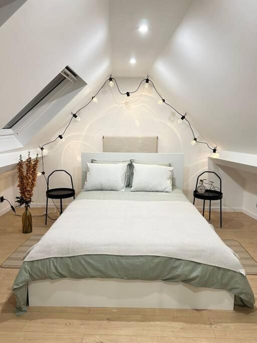 Magnifique Duplex Bruxelles