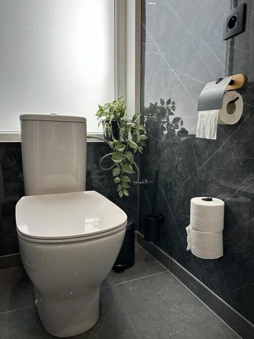Magnifique Duplex Bruxelles